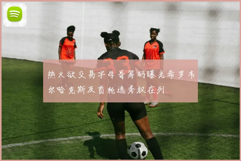 热火欲交易字母哥筹码曝光希罗韦尔哈克斯及首轮选秀权在列